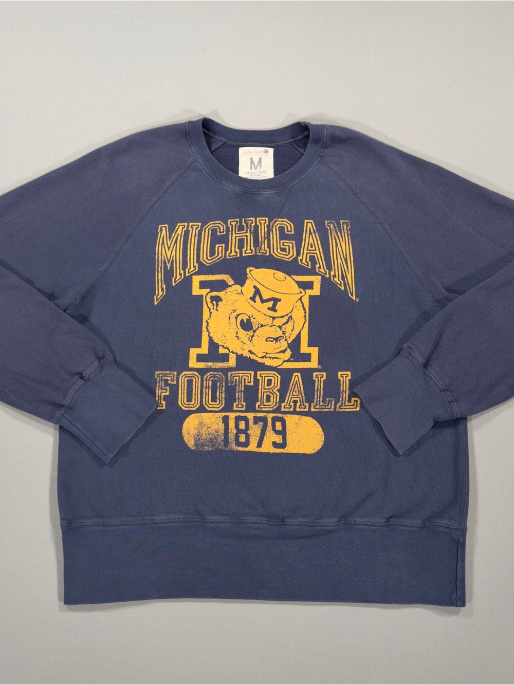 RARE Vintage Michigan Wolverines Mascot Sweatshirt Medium M College Vault